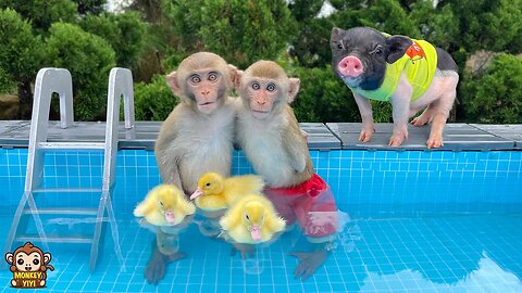 A happy week of YiYi and YinYin and friends