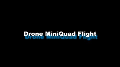 Drone MiniQuad Flight