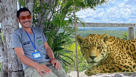 Jaguar Attack : I survived a heart-stopping encounter