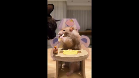 Mouse eating
