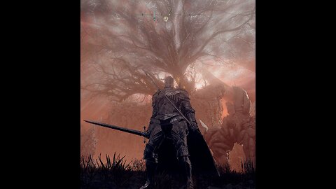 Elden Ring Nightreign!!!