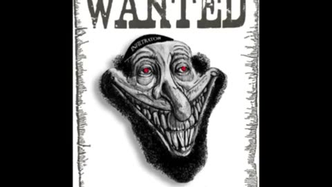 Rabbi Abe Finkelstein has entered the chat