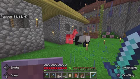 Minecraft - Angry Panda 1
