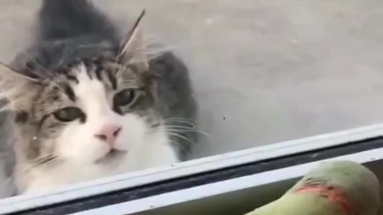 Peek-a-boo with a twist!