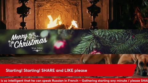 Sydney Sweeney Folds - Cheap Jeans | Trump National Security Strat – White Positive | Crystal Wilsey