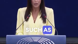 MEP Afroditi Latinopoulou says what almost all Europeans think: “You have flooded European