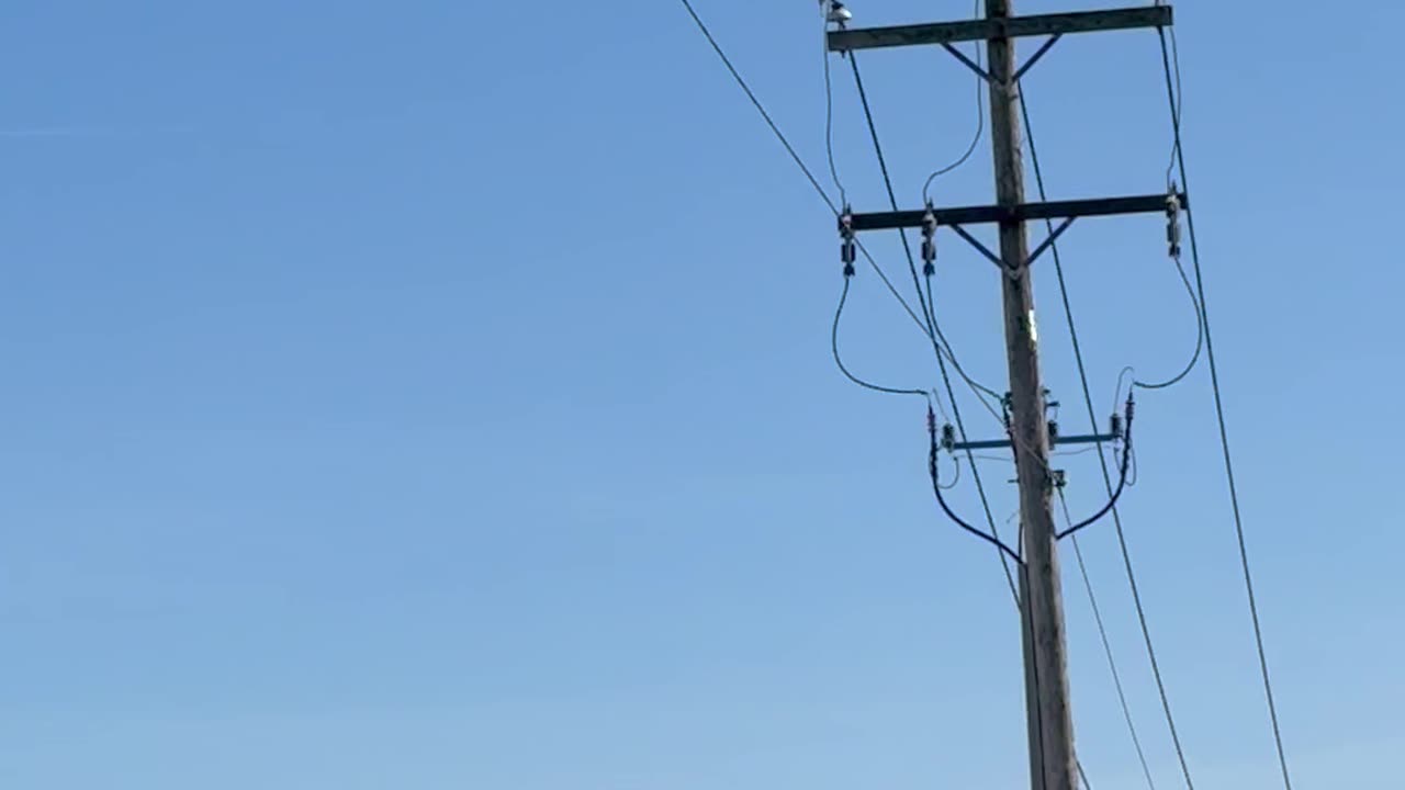 Chemtrails 4/16/25 two