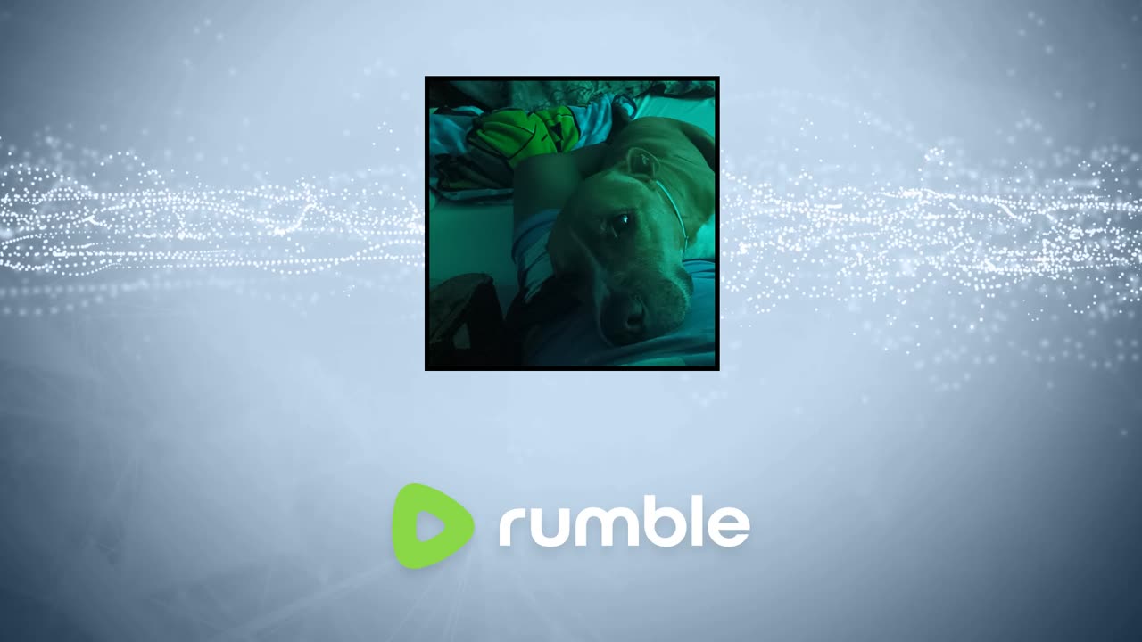 I love this gam e so much but sometimes it don't love me back