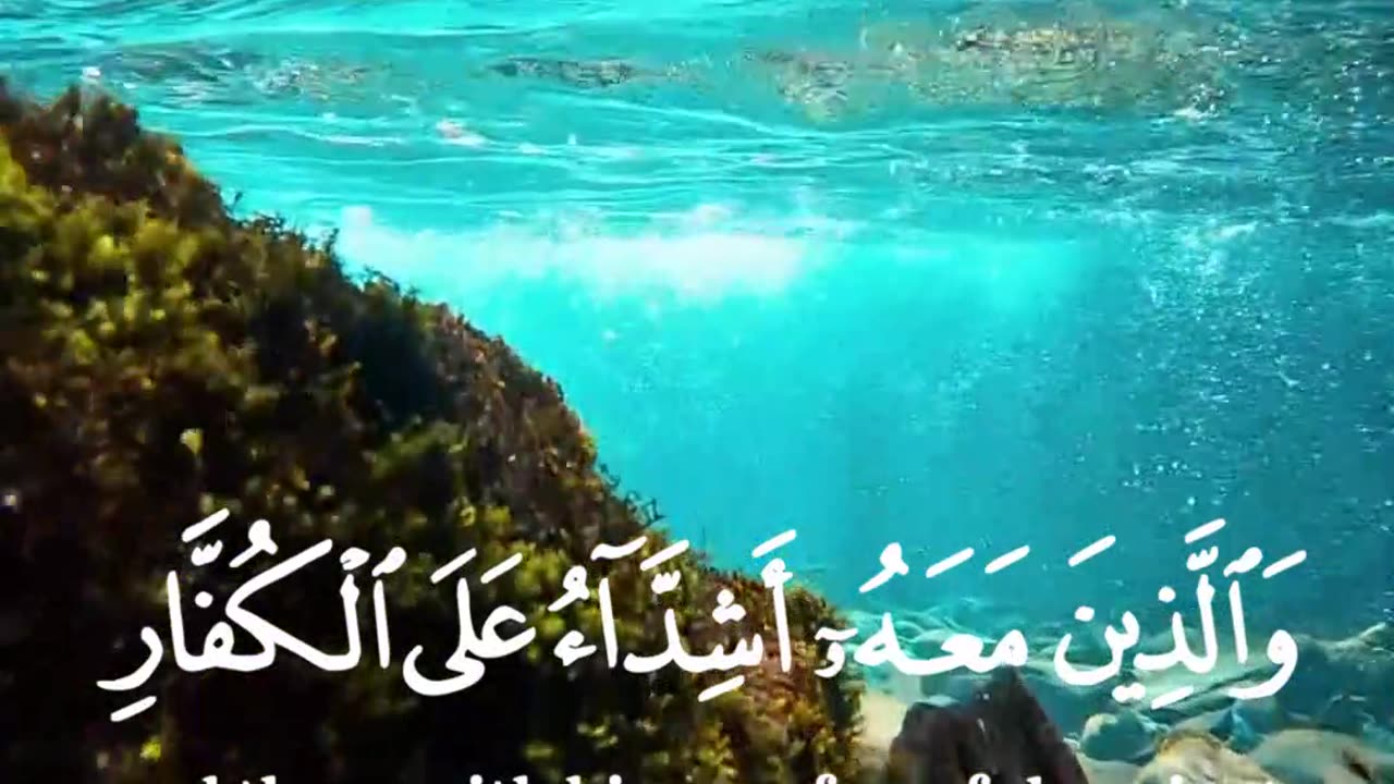 quran #quran #viral