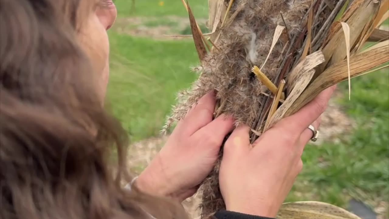 Bow Drill Friction Fire