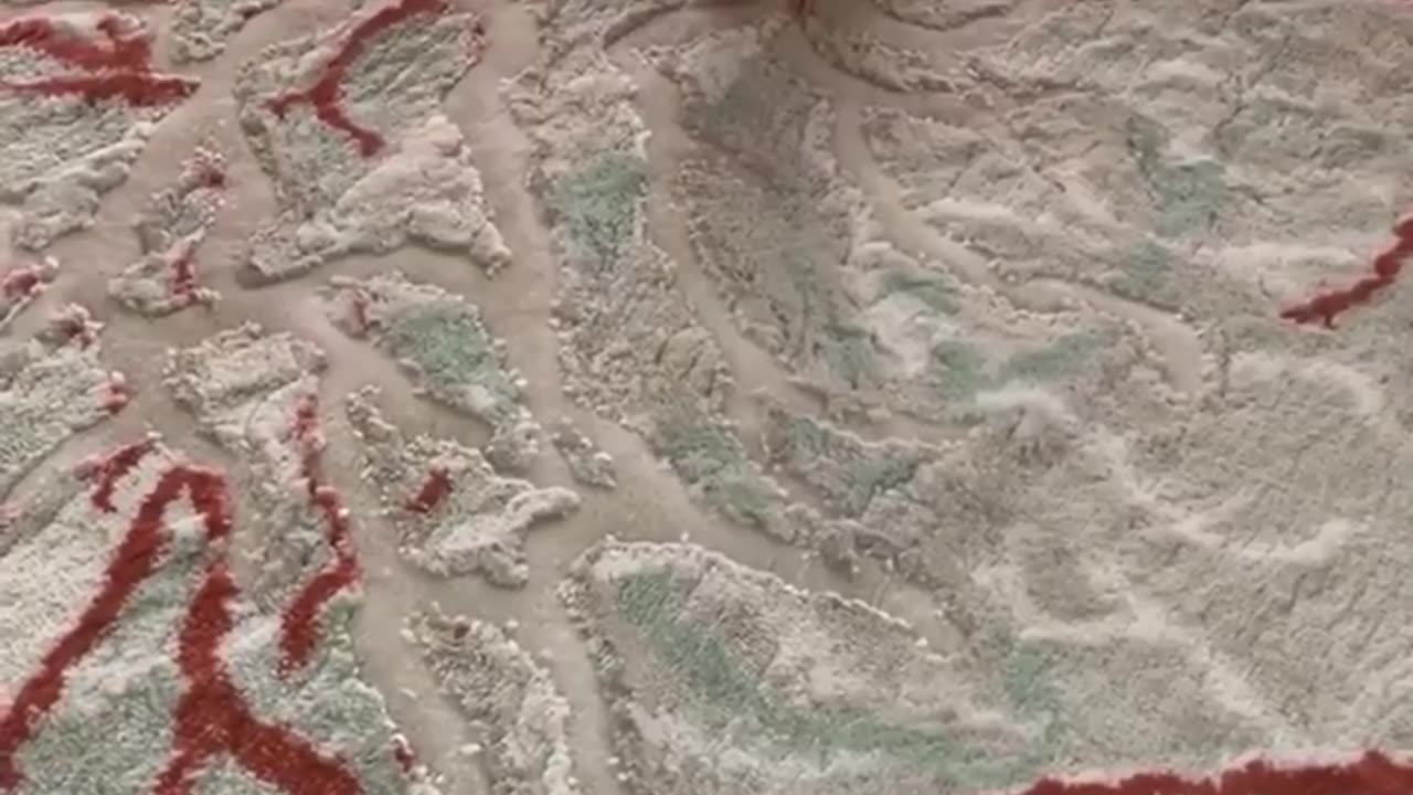 Danger parrot 🦜😬