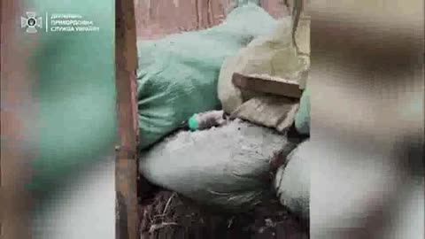 Battles in the Serebryansk Forest Have Been Raging Continuously for Over Two Years