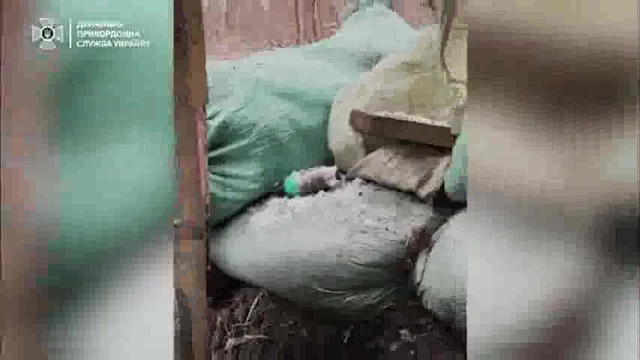 Battles in the Serebryansk Forest Have Been Raging Continuously for Over Two Years