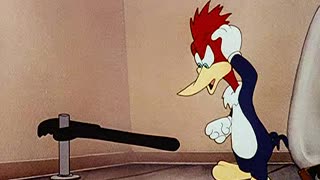 Woody Woodpecker and Friends - 1946x05 - Bathing Buddies