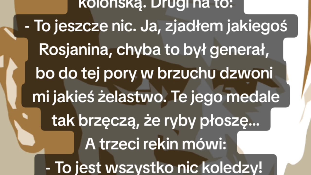 Przekąska 🦈