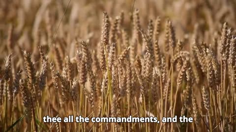 Deuteronomy Chapter 5
