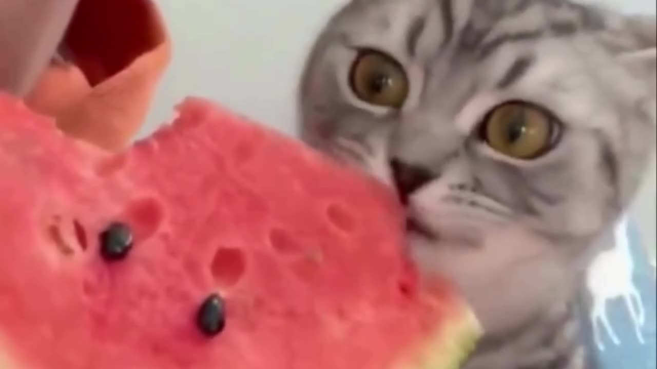 The best summer fruit 😊