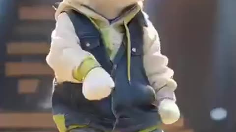 A baby cat enjoy the fun