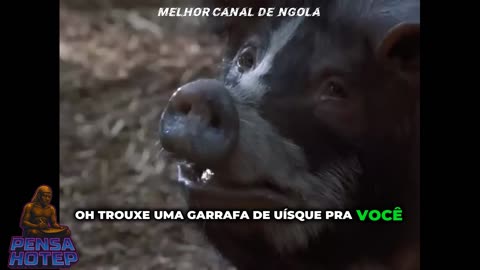 ANIMAL FARM DUBLADO GEORGE ORWELL