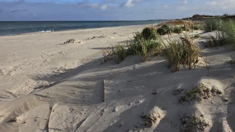 HEGEL und LUDWIG - 2025-12-07 (Sein und Haben)