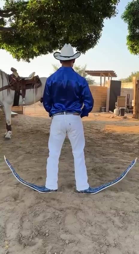 and who's cooler bro? 😌