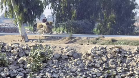 My Village ❤ #maxrecords #larkana #sindh #pakistan