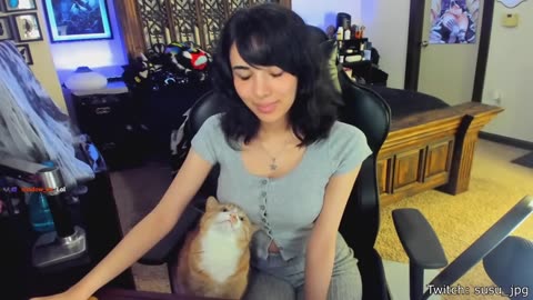Best Cat Videos of the Decade