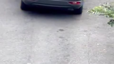 Smart Girl Outsmarts Kidnapper Hilariously
