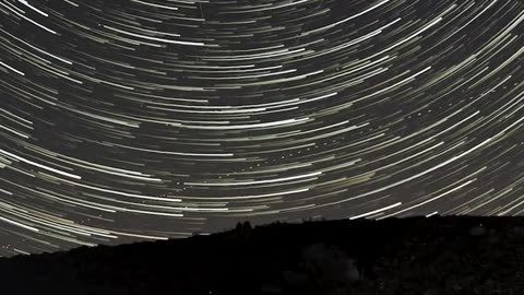 Daily Horoscope | Sagittarius 🌟