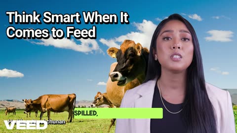 Think Smart When It Comes to Feed: You Dairy Farm's Secret to Success