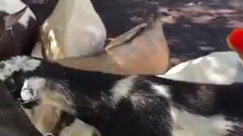 Perfect Timing