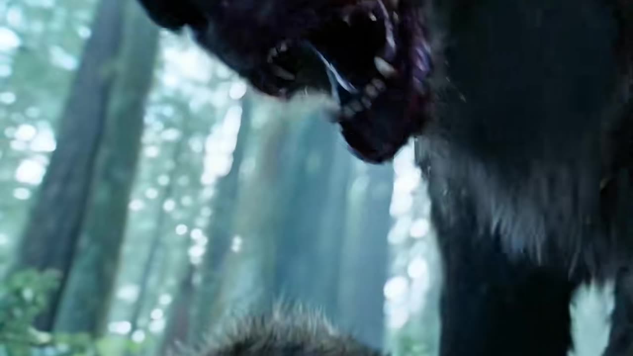 Remember to play dead when encountering a brown bear