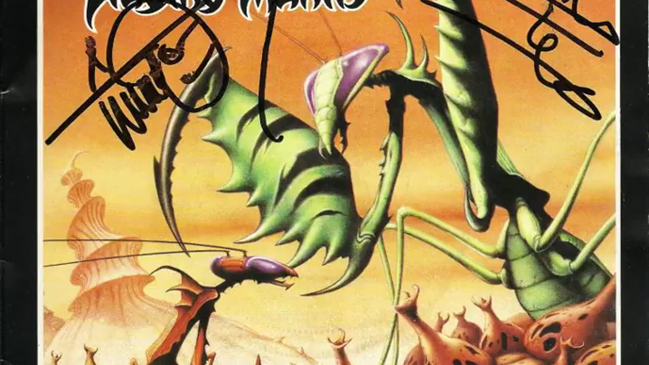 Praying Mantis - Cheated