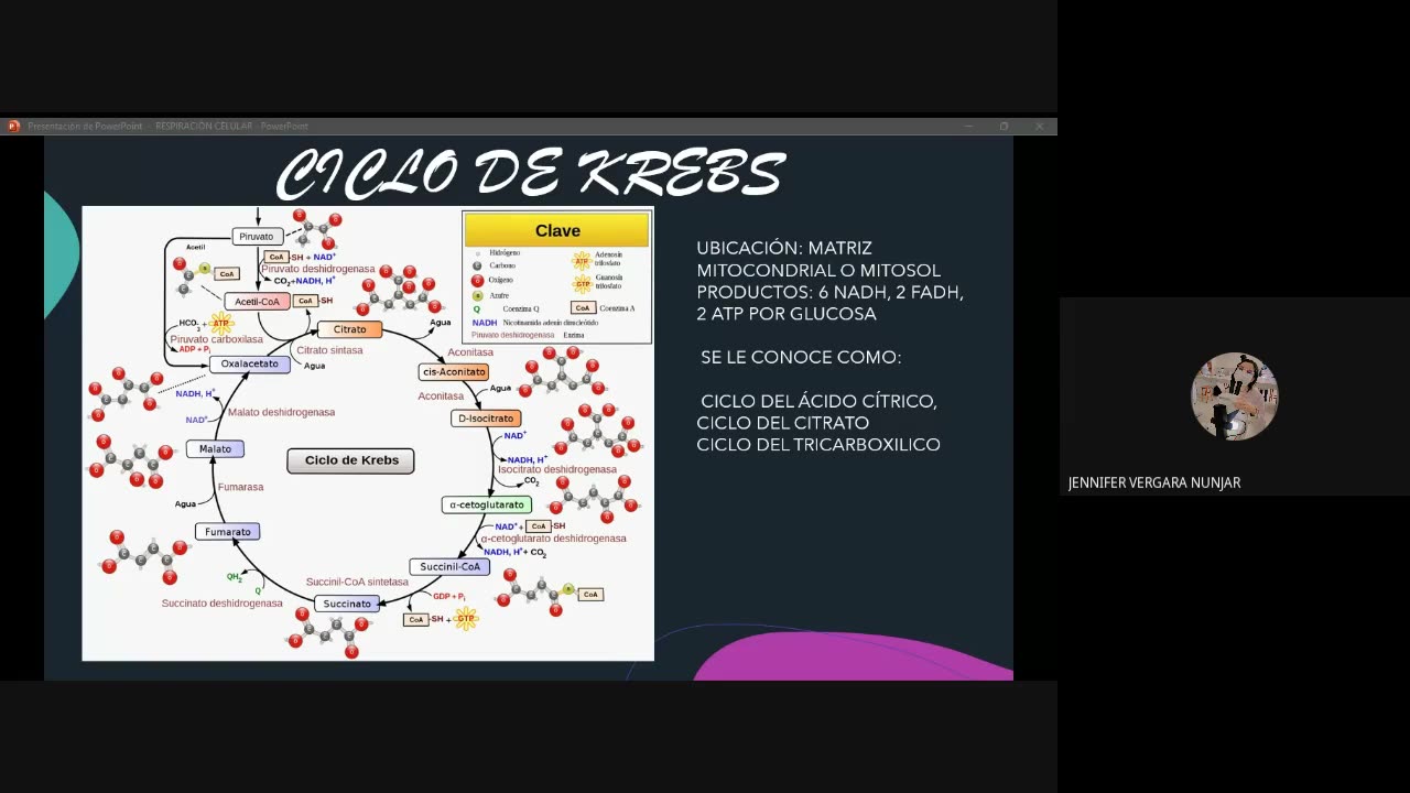 PAMER SEMESTRAL 2023 | Semana 05 | Biología: Respiración Celular