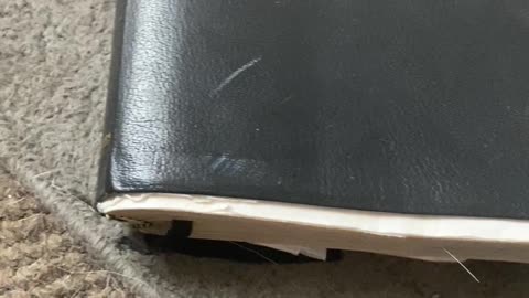 Suffering scriptures