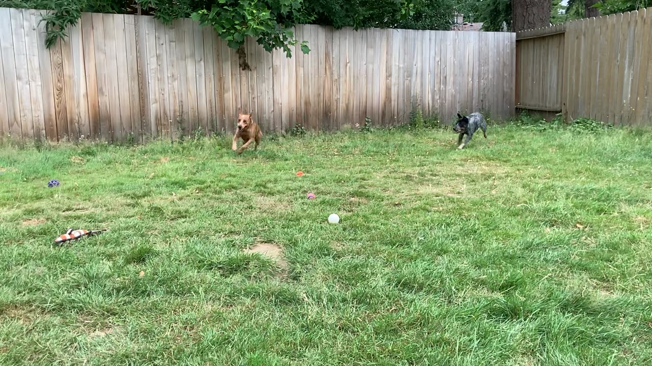 backyard hangout 3298098423098423