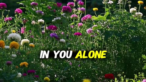 How lovely is Your dwelling place