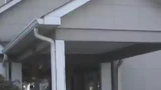 Charlotte North Carolina has programs where illegals are shielding from ICE