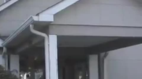 Charlotte North Carolina has programs where illegals are shielding from ICE