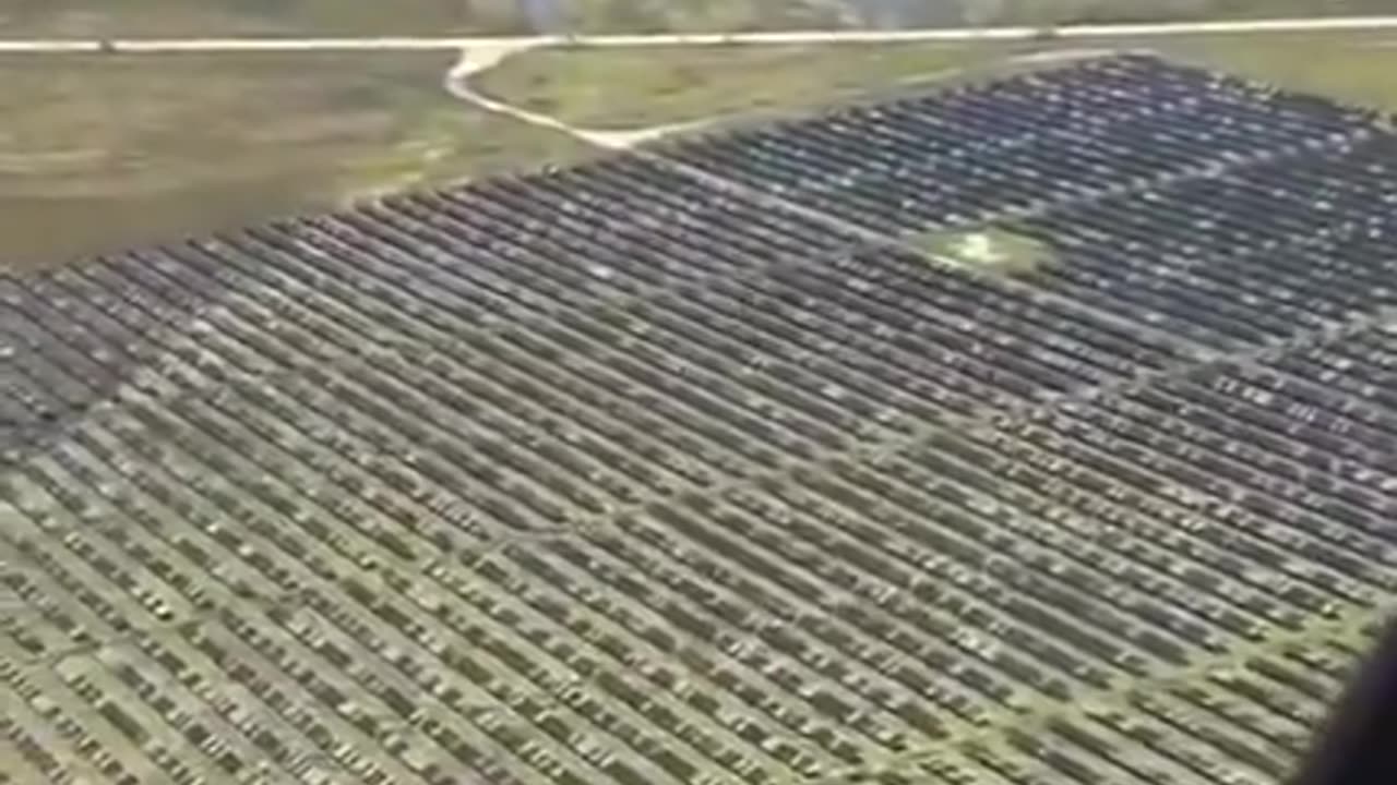 A Single Hailstorm in Damon, Texas, Destroys Thousands of Acres of Solar Panels!