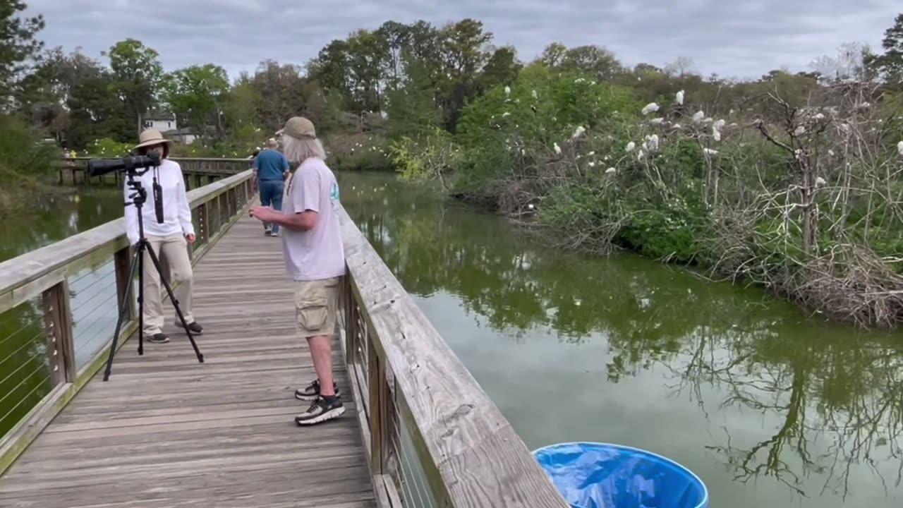 Hilton Head 3-30-2025