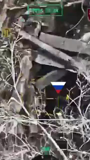 Russia tried to storm the north of Pokrovsk, - 7th Corps of the Ukrainian Airborne Forces