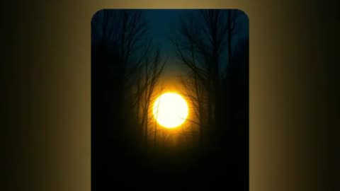 Enlightenment (Club Mix) #electronic #violin #cello #darkhouse #sensual #clubbanger #Christ #God