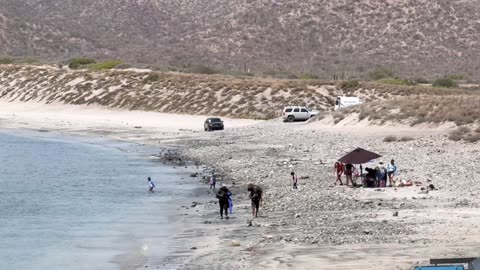 Diet and Nutrition for Liver and Heart Health