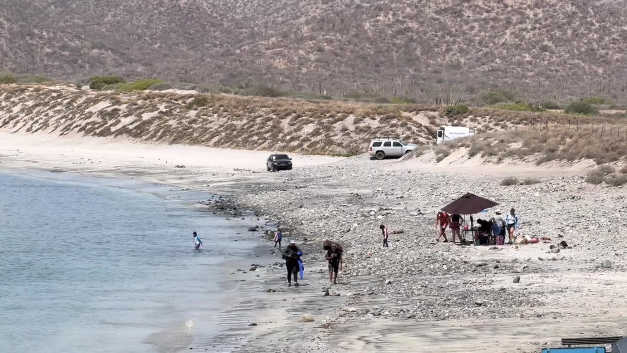 Diet and Nutrition for Liver and Heart Health