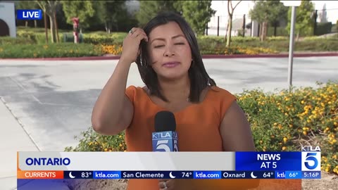 DHL just laid off hundreds of workers in California