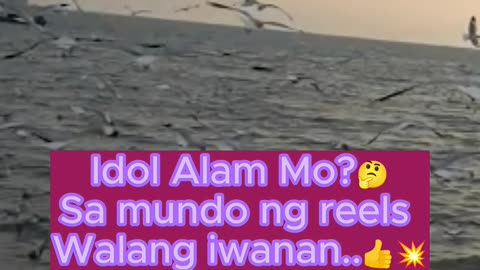 Sa mundo ng reels