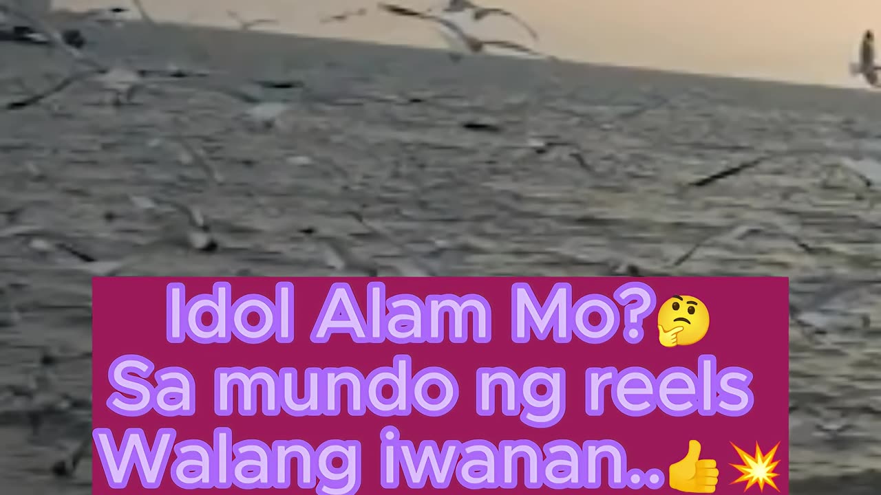 Sa mundo ng reels