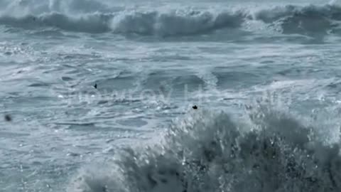 MH370_ The Vanishing