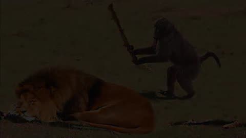 Funny Animals That Will Definitely Brighten Your Day😍Funniest Animals 2025